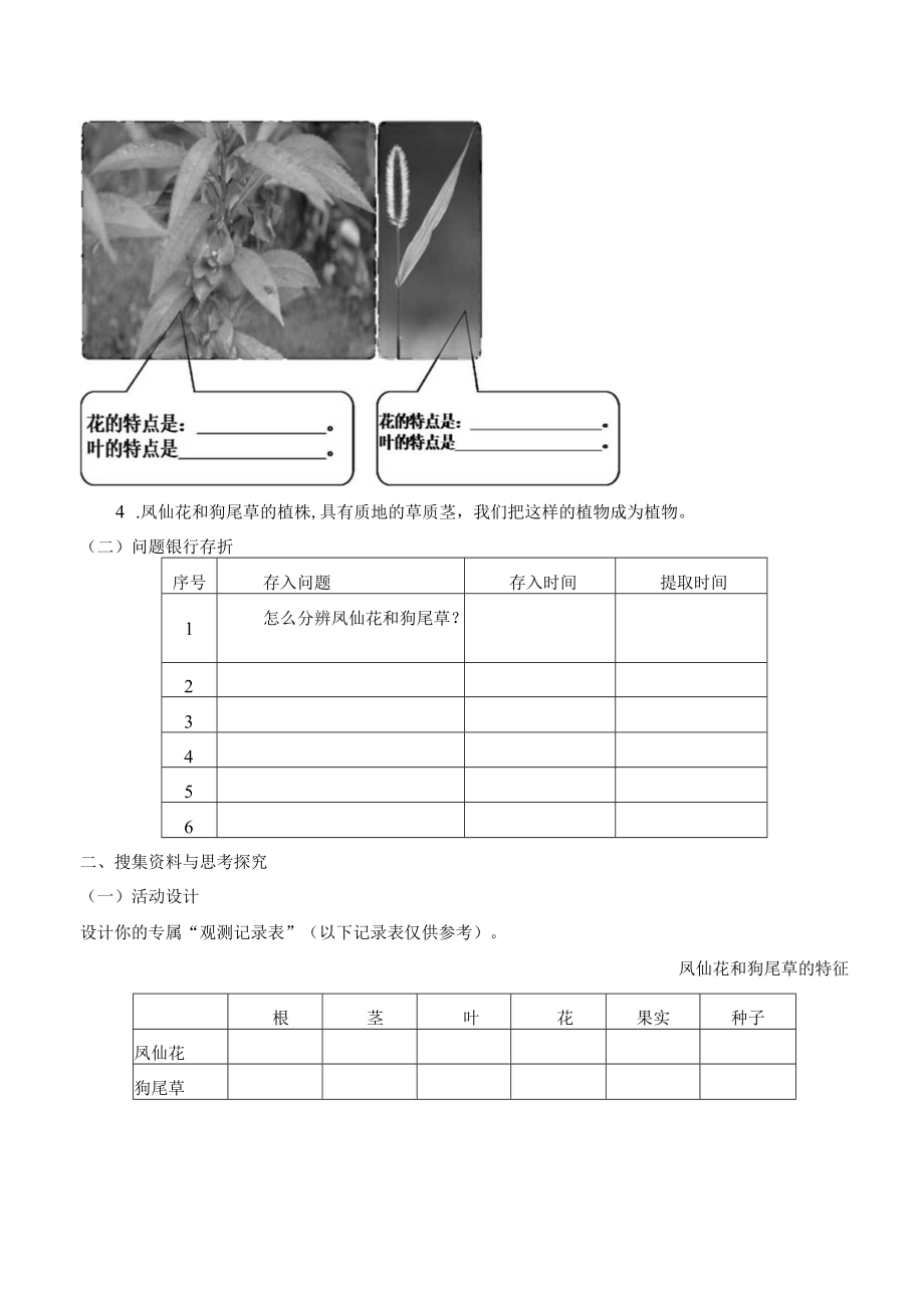 个人学案凤仙花和狗尾草.docx_第2页