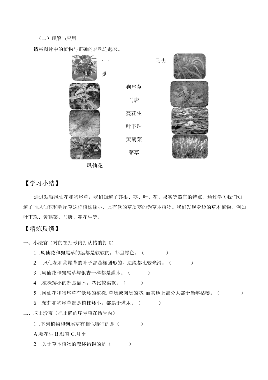 个人学案凤仙花和狗尾草.docx_第3页