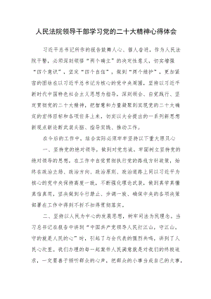 人民法院领导干部学习党的二十次大会精神心得体会（副院长）.docx