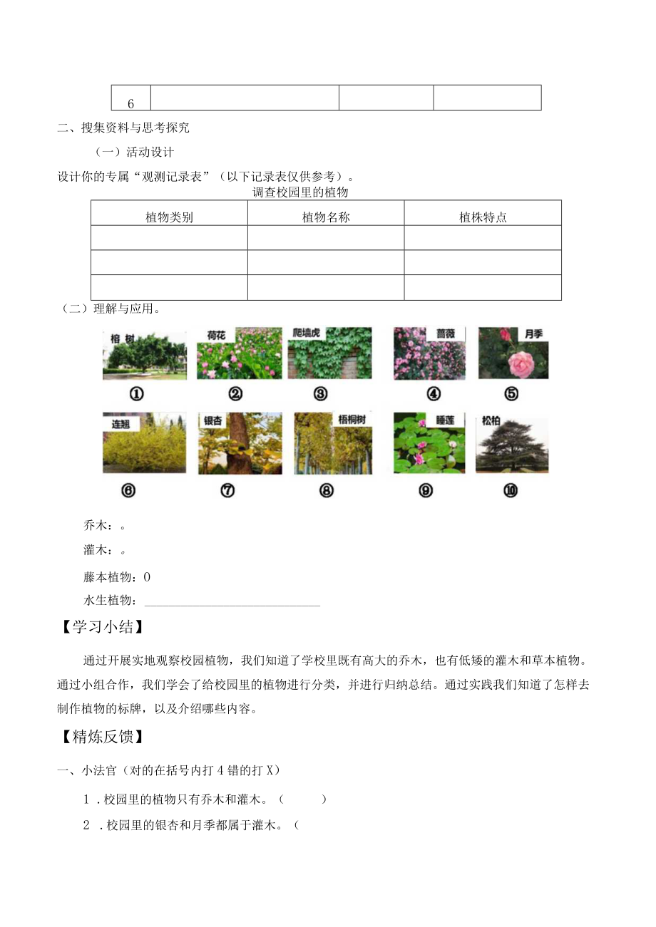 个人学案校园里的植物.docx_第2页