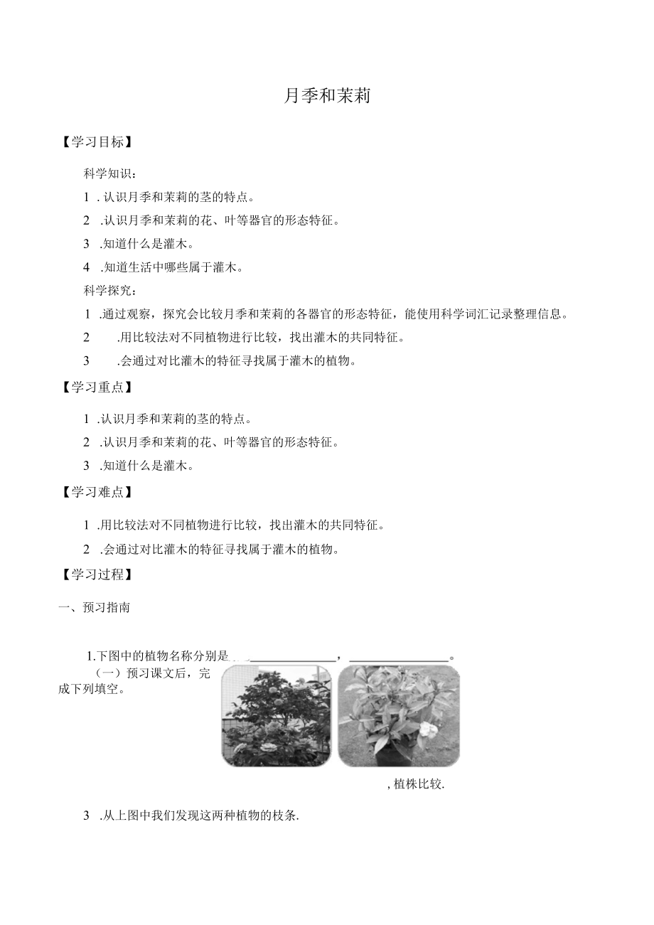 个人学案月季和茉莉.docx_第1页