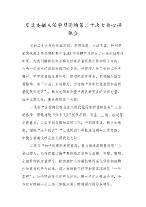 发改委副主任学习党的第二十次大会心得体会.docx