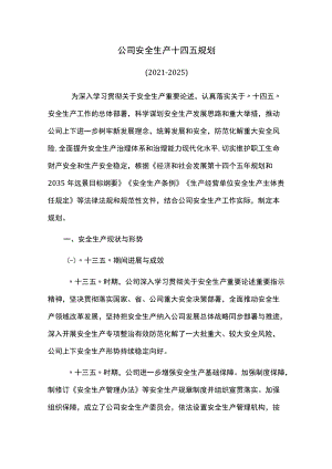 公司安全生产十四五规划.docx