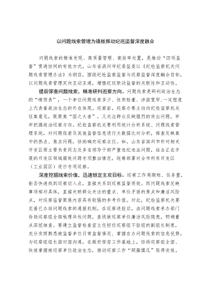 【业务研讨】以问题线索管理为撬板推动纪巡监督深度融合.docx