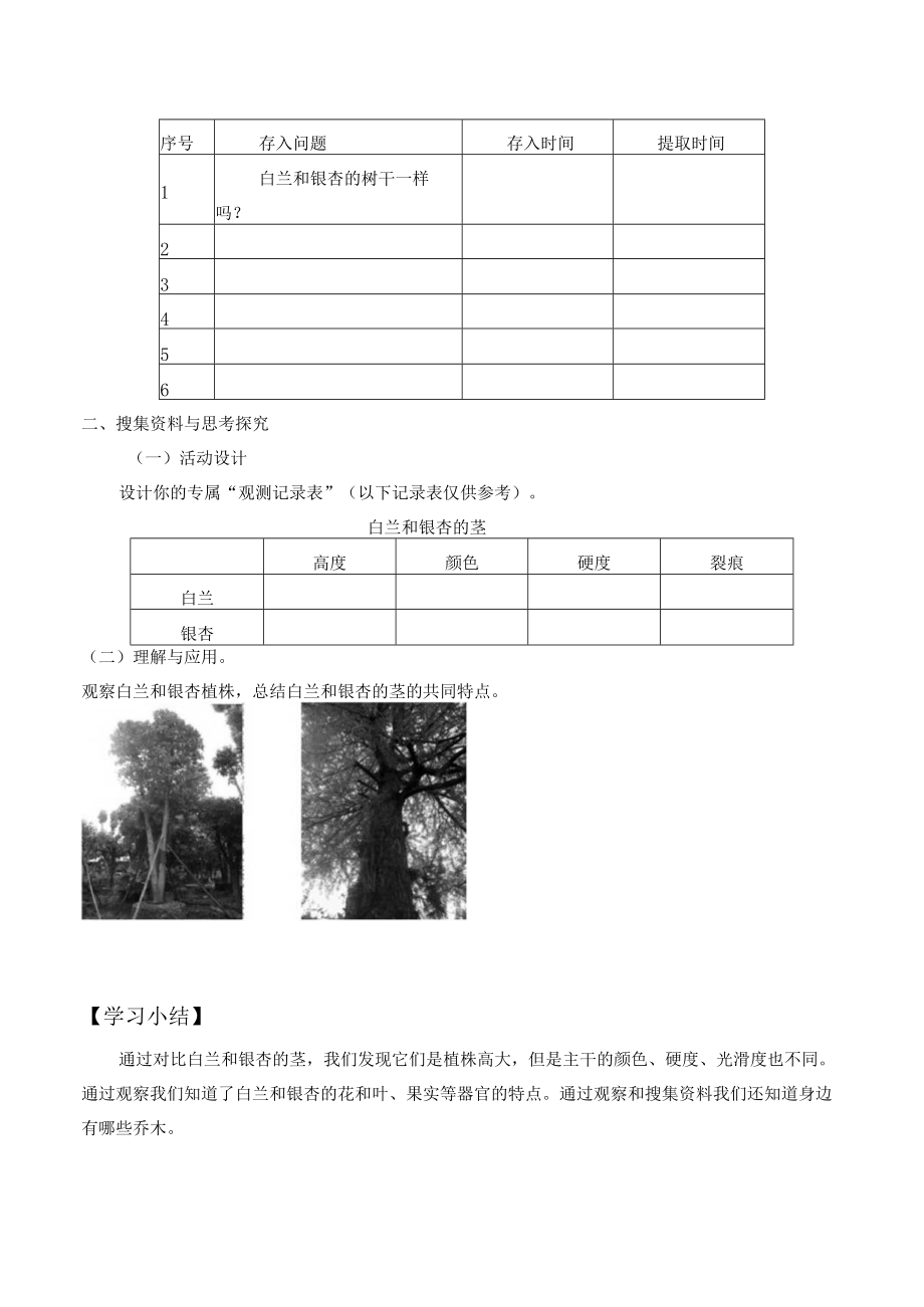 个人学案白兰和银杏.docx_第2页