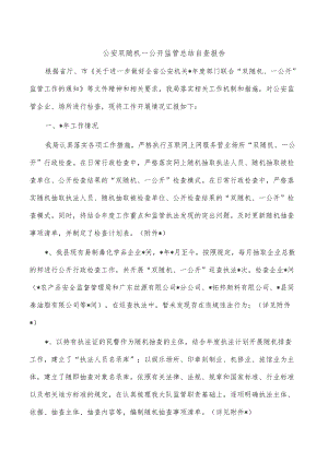 公安双随机一公开监管总结自查报告.docx