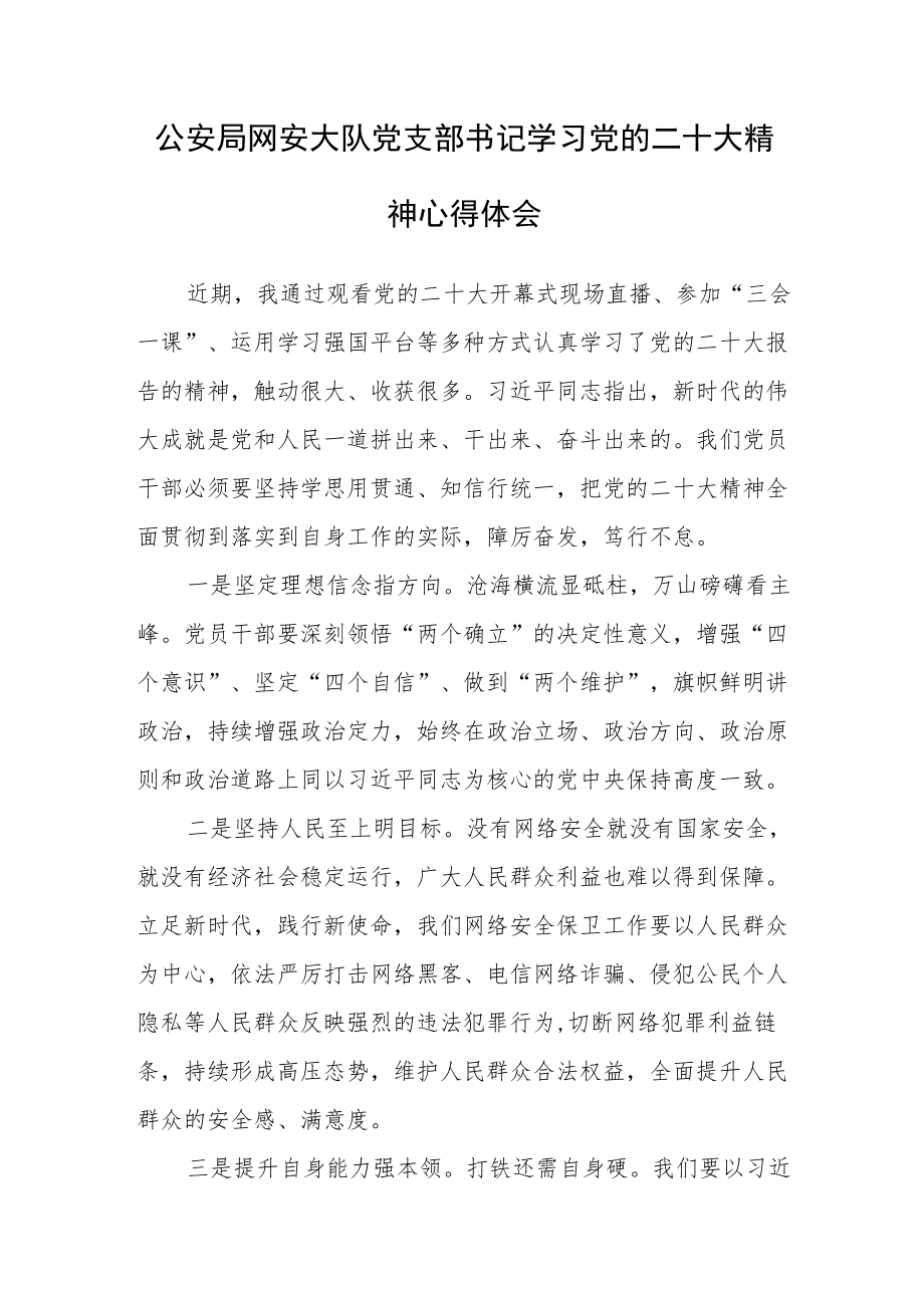 公安局网安大队党支部书记学习党的二十次大会精神心得体会.docx_第1页