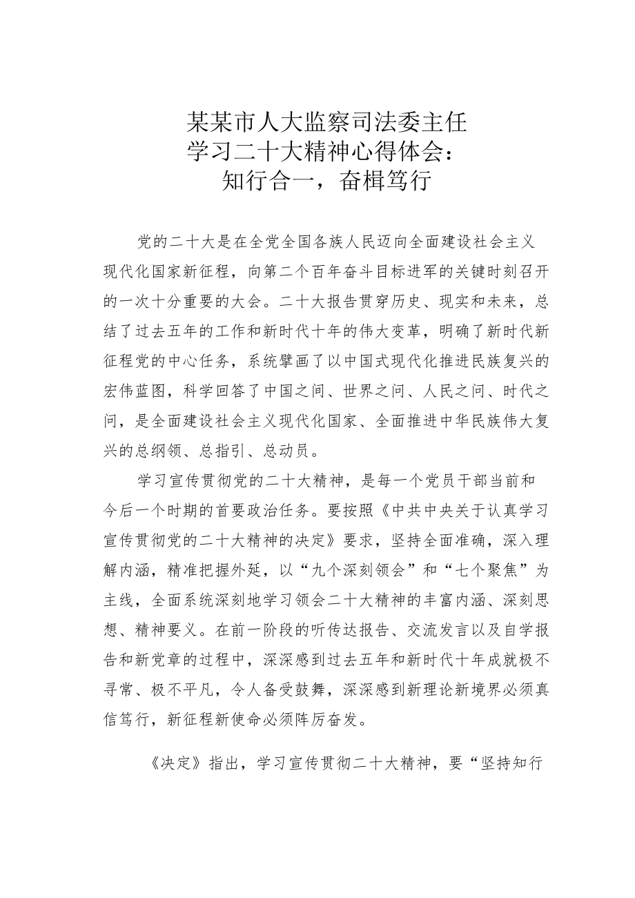 某某市人大监察司法委主任学习二十大精神心得体会：知行合一奋楫笃行.docx_第1页