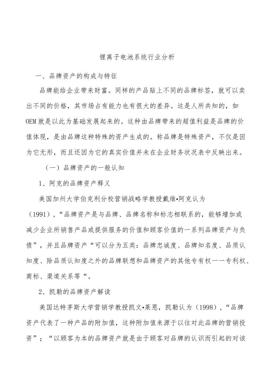 锂离子电池系统行业分析.docx_第1页