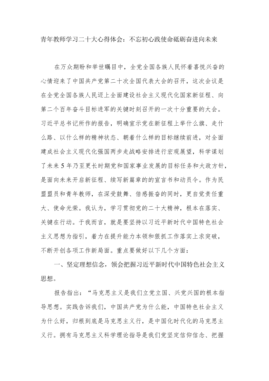 青年教师党员干部学习贯彻党的二十大报告精神心得体会3篇.docx_第2页