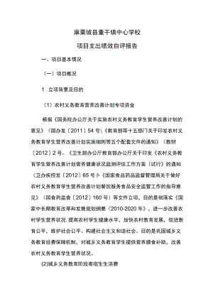 麻栗坡县董干镇中心学校项目支出绩效自评报告.docx