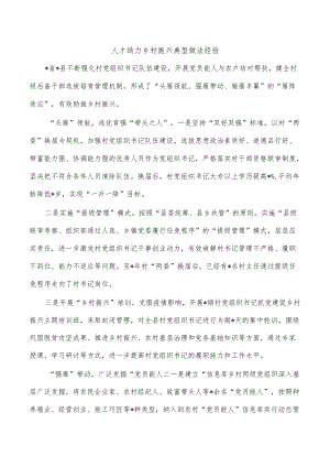 人才助力乡村振兴典型做法经验.docx