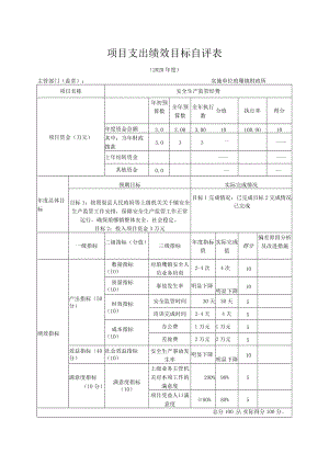 项目支出绩效目标自评表.docx