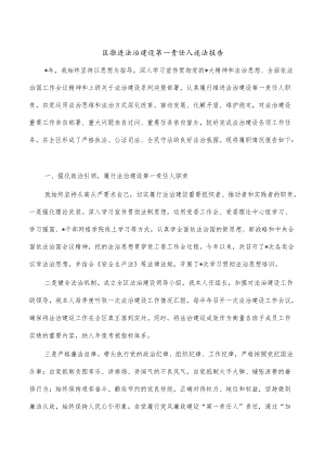 区推进法治建设第一责任人述法报告.docx