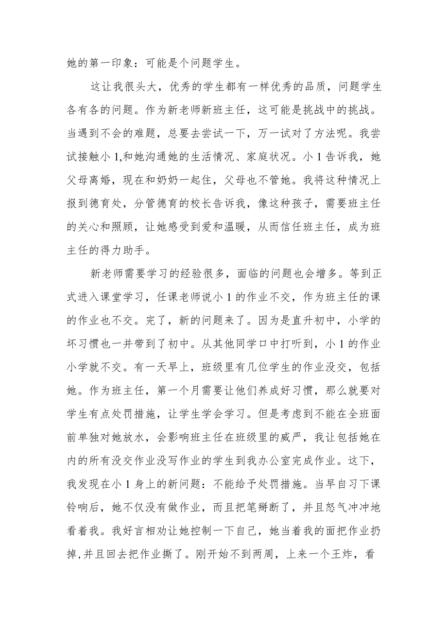 班主任班级工作案例.docx_第2页