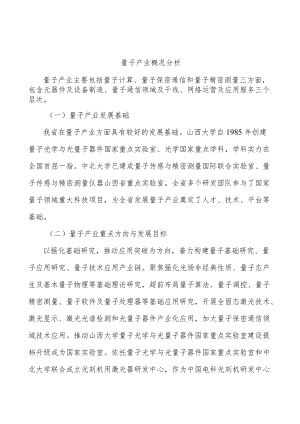 量子产业概况分析.docx