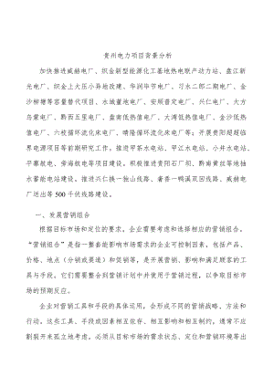 贵州电力项目背景分析.docx