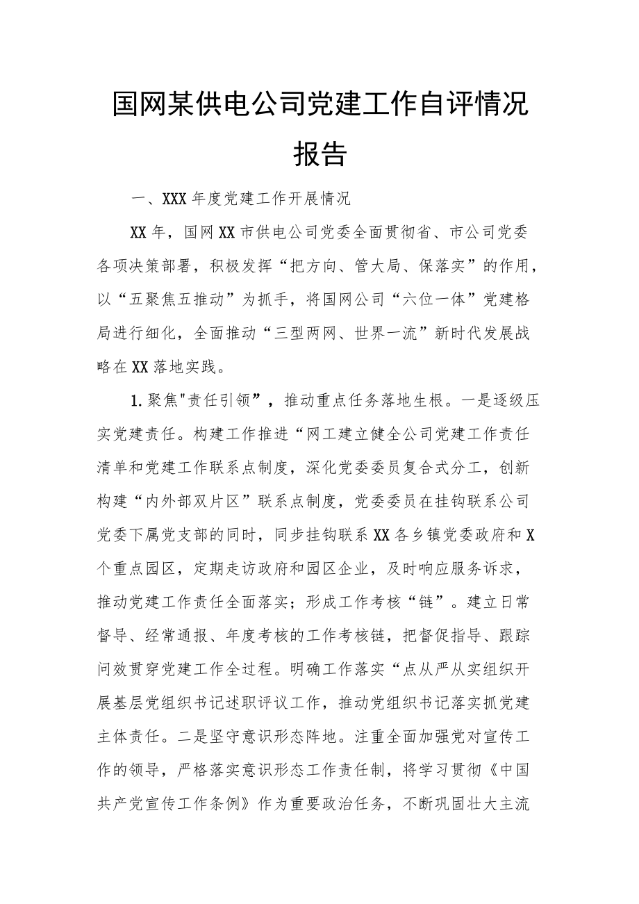 国网某供电公司党建工作自评情况报告.docx_第1页