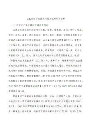 二氧化硅全景调研与发展战略研究分析.docx