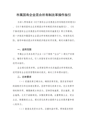 市属国有企业混合所有制改革操作指引.docx