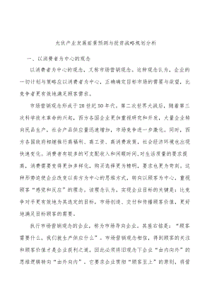 光伏产业发展前景预测与投资战略规划分析.docx