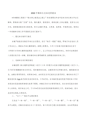 2022年镇林长总结述职报告.docx