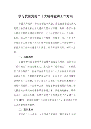 学习贯彻党的二十大精神宣讲工作方案.docx