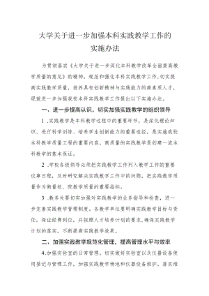 大学关于进一步加强本科实践教学工作的实施办法.docx