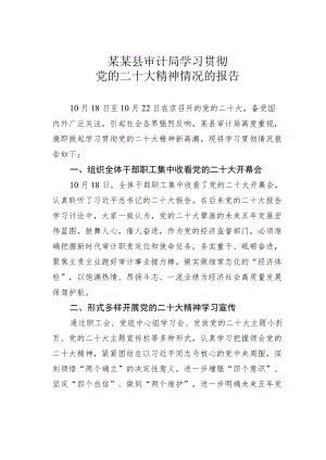 某某县审计局学习贯彻党的二十大精神情况的报告.docx