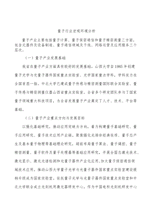 量子行业宏观环境分析.docx