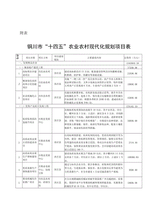 铜川市“十四五”农业农村现代化规划项目表.docx