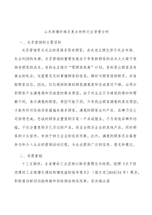 山东玻璃纤维及复合材料行业背景分析.docx