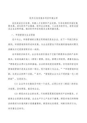 软件及信息服务项目环境分析.docx