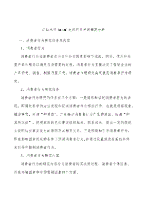 运动出行BLDC电机行业发展概况分析.docx