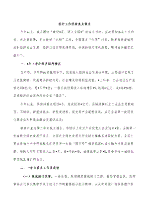 统计工作经验亮点做法.docx