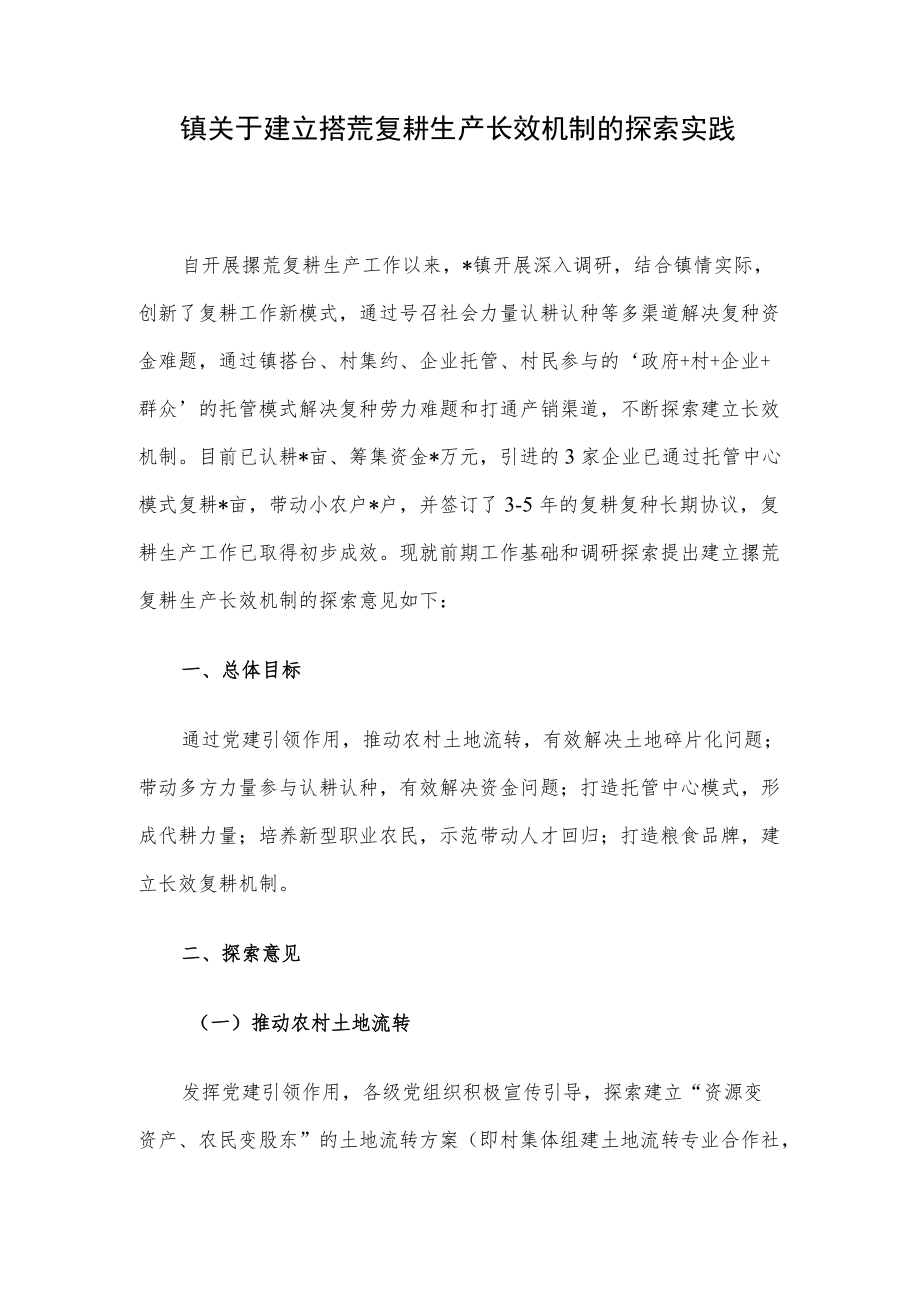 镇关于建立撂荒复耕生产长效机制的探索实践.docx_第1页