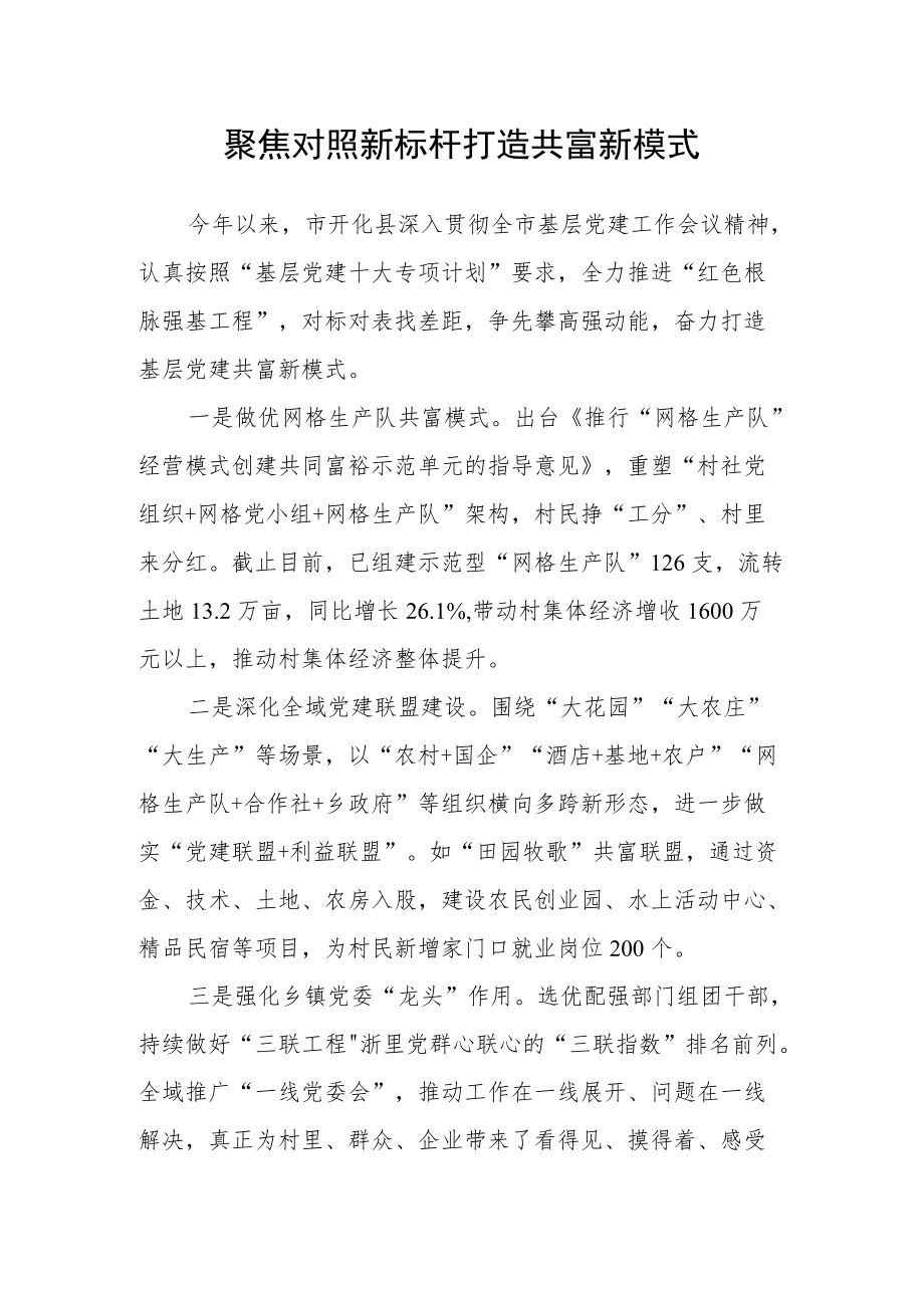 聚焦对照新标杆 打造共富新模式.docx_第1页