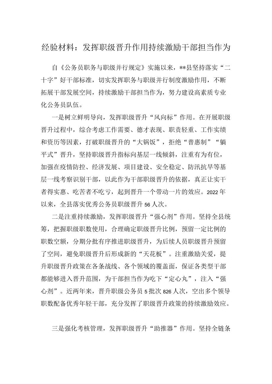 经验材料：发挥职级晋升作用持续激励干部担当作为.docx_第1页