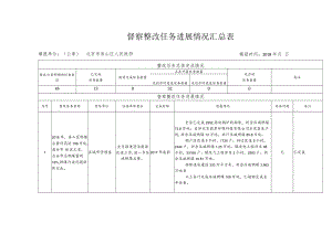 督察整改任务进展情况汇总表.docx