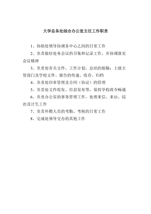 大学总务处综合办公室主任工作职责.docx