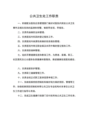 医院公共卫生处工作职责.docx