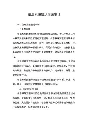 信息系统组织层面审计.docx