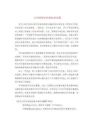 公共绩效评价指标的设置.docx