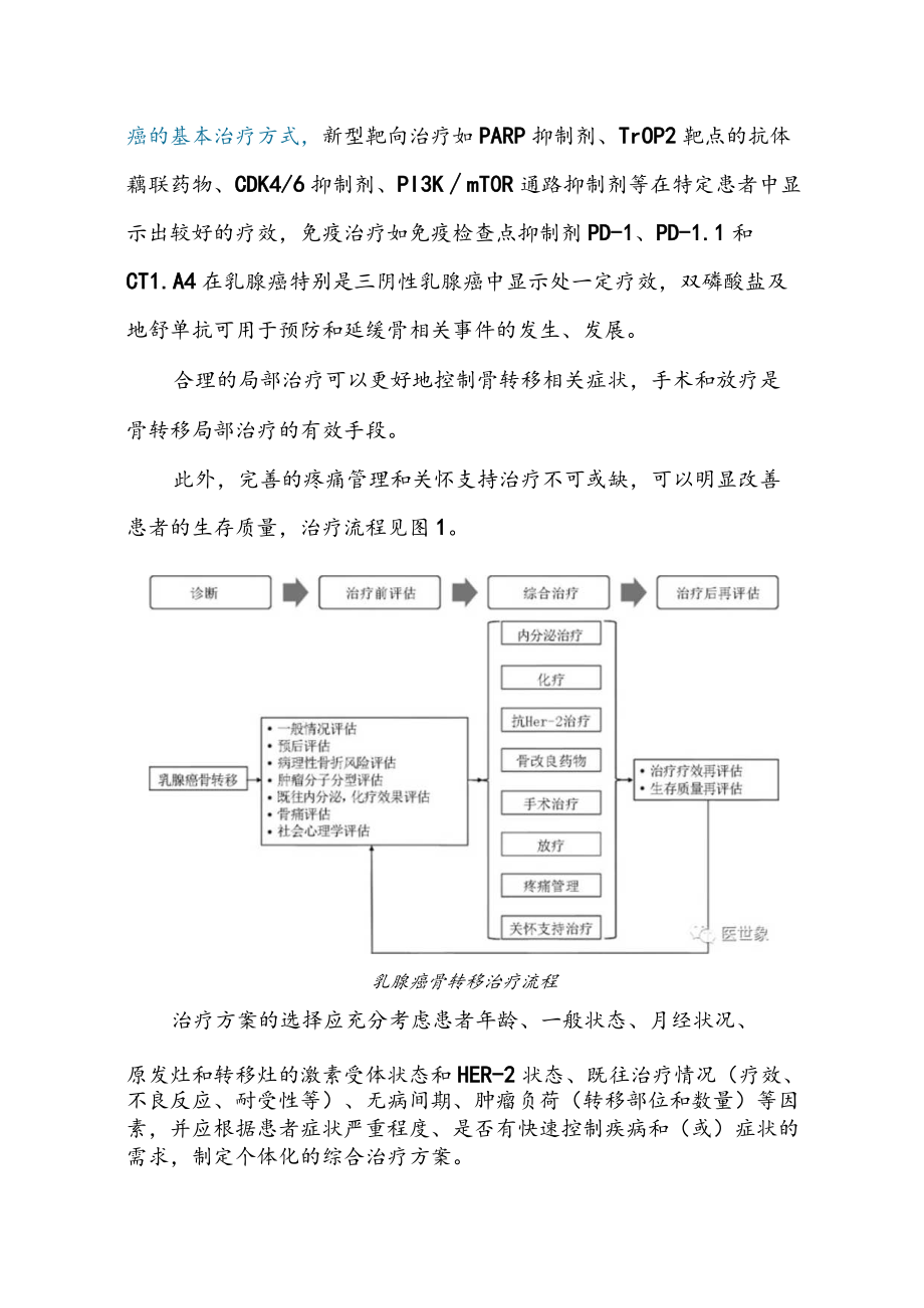 乳腺癌骨转移的治疗方案专家共识.docx_第2页