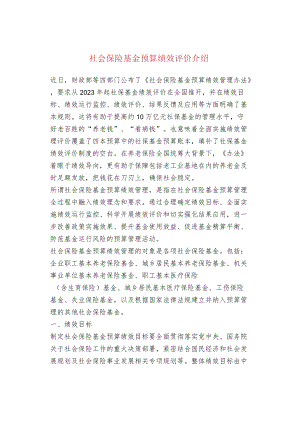 社会保险基金预算绩效评价介绍.docx