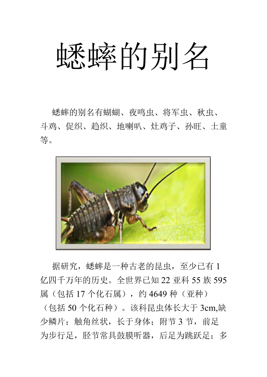 蟋蟀的别名.docx_第1页