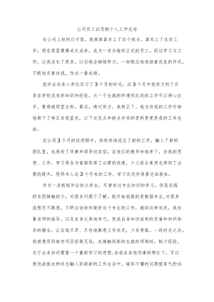 公司员工试用期个人工作总结.docx