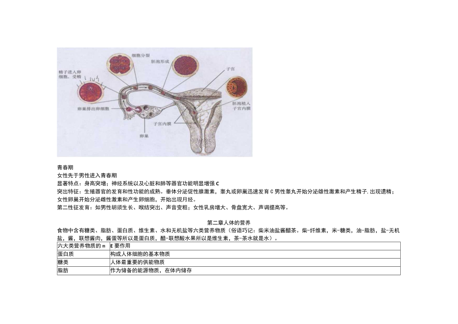 第一章人的由来.docx_第2页