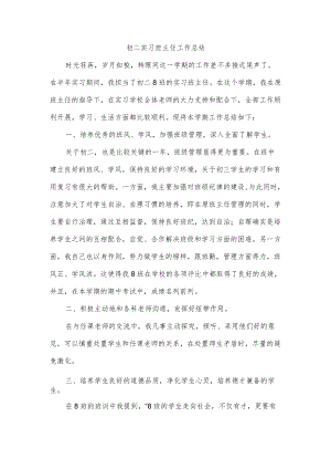 初二实习班主任工作总结.docx