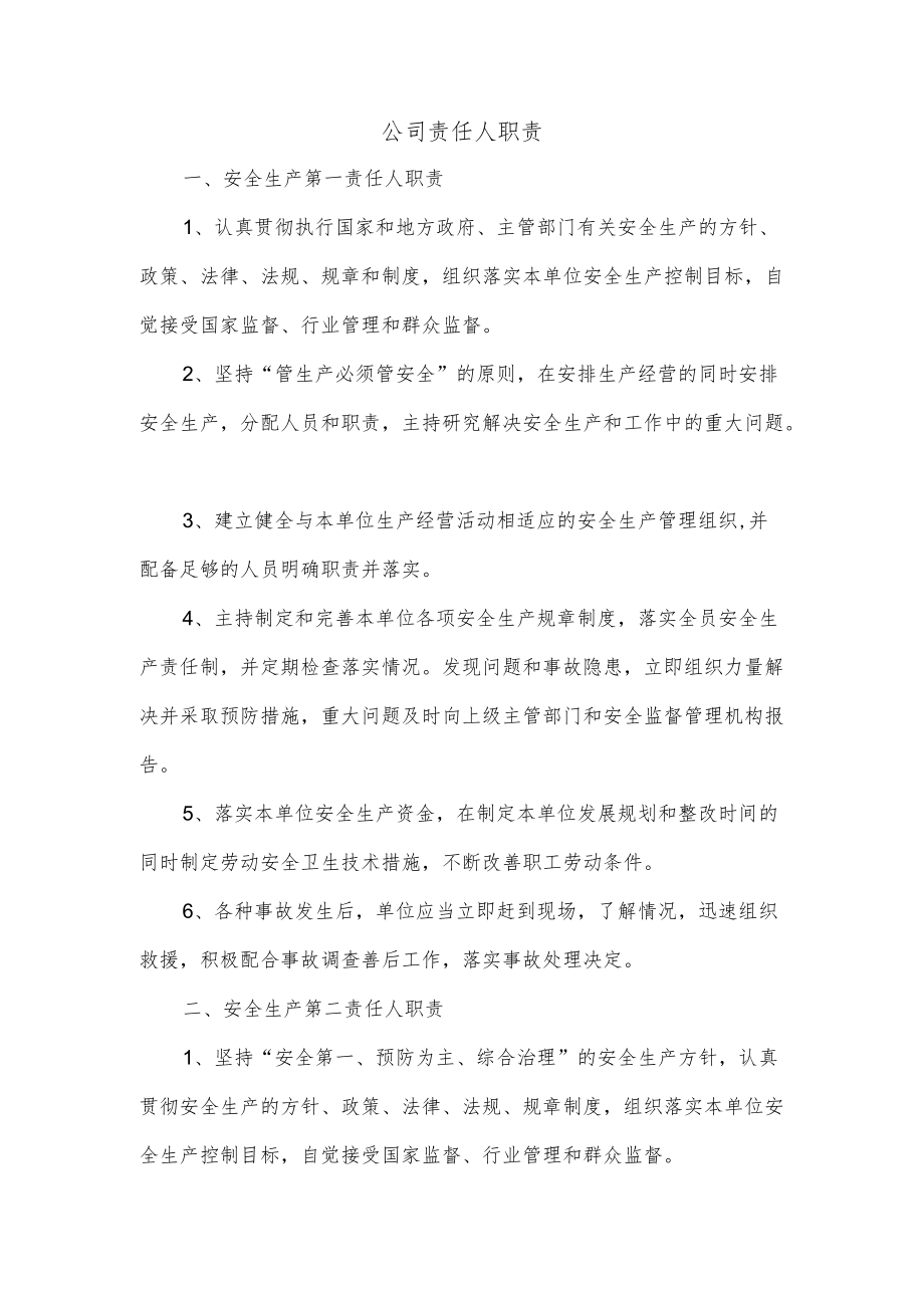 公司责任人职责.docx_第1页